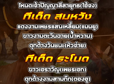 ทีเด็ดวัวชน วันที่26/07/68 สนามชนโคกระบี่-สมหวัง-ระโนด-ทุ่งทะเลหลวง