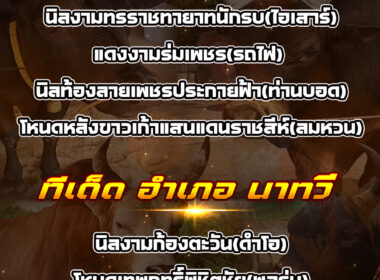 ทีเด็ดวัวชน วันที่13/07/68 สนามชนโคบ้านเสาธง -อำเภอนาทวี