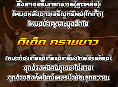 ทีเด็ดวัวชน วันที่30/07/68 สนามชนโคหนองบัวใหญ่-ทรายขาว-โพธิ์ทอง