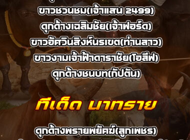 ทีเด็ดวัวชน วันที่20/07/68 สนามชนโคบ้านนาทราย-บ้านท่าหรั่ง