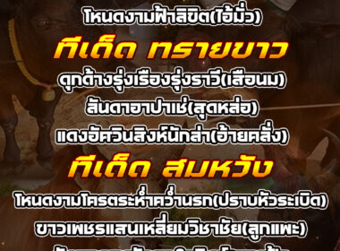 ทีเด็ดวัวชน วันที่29/07/68 สนามชนโคพระแสง-ทรายขาว-สมหวัง-โพธิ์ทอง