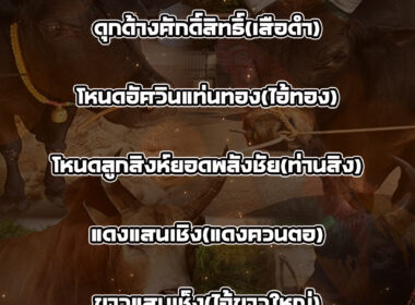 ทีเด็ดวัวชน วันที่21/07/68 สนามชนโคทุ่งสง ซิตี้