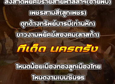 ทีเด็ดวัวชน วันที่08/07/68 สนามชนโคนครตรัง-สนามบ่อล้อ