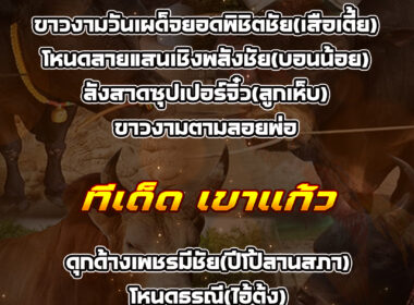 ทีเด็ดวัวชน วันที่05/08/68 สนามชนโคบ้านเขาแก้ว-สิงหนคร