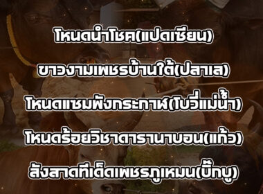 ทีเด็ดวัวชน วันที่20/08/68 สนามชนโคทุ่งสง ซิตี้