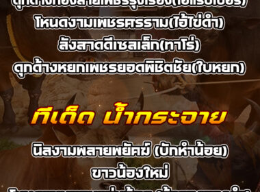 ทีเด็ดวัวชน วันที่13/08/68 สนามชนโคน้ำกระจาย-เสาธง