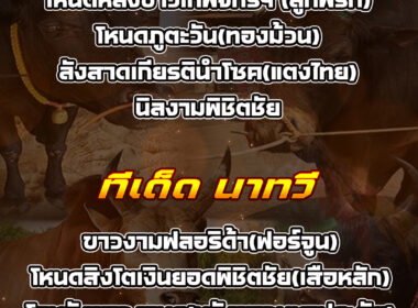 ทีเด็ดวัวชน วันที่11/08/68 สนามชนโคนาทวี-บ่อล้อ