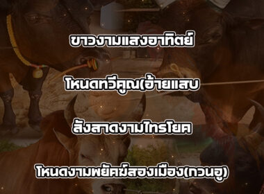 ทีเด็ดวัวชน วันที่01/08/68 สนามชนโคบ้านหยีใน
