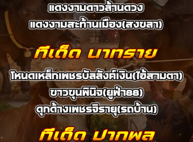 ทีเด็ดวัวชน วันที่16/08/68 สนามชนโคบ้านนาทราย-ปากพล-บางกล่ำ