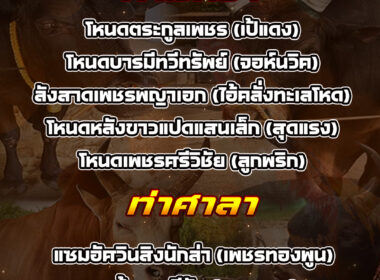 ทีเด็ดวัวชน วันที่21/08/68 สนามชนโคบ้านท่ามิหรำ-ท่าศาลา