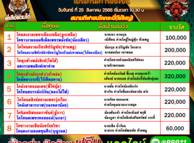 โปรแกรมวัวชน วันที่25/08/68 สนามชนโคกระบี่ (ไร่ใหญ่