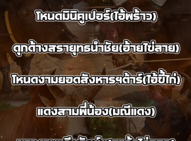 ทีเด็ดวัวชน วันที่08/08/68 สนามชนโคนครตรัง