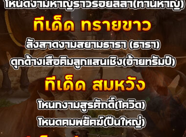 ทีเด็ดวัวชน วันที่28/09/68 สนามชนโคทรายขาว-สนามหนองบัวใหญ่-สมหวัง-ทุ่งทะเลหลวง