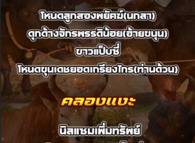 ทีเด็ดวัวชน วันที่04/09/68 สนามชนโคนครตรัง