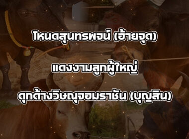 ทีเด็ดวัวชน วันที่19/09/68 สนามชนโคบ้านนาทราย