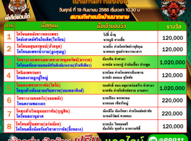 โปรแกรมวัวชน วันที่19/09/68 สนามชนโคบ้านนาทราย