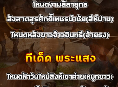 ทีเด็ดวัวชน วันที่25/09/68 สนามชนโคท่ามิหรำ-สนามพระแสง