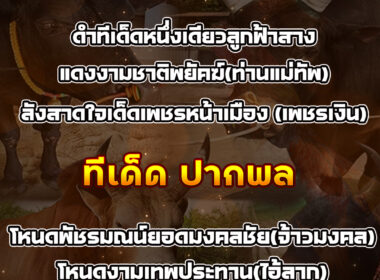 ทีเด็ดวัวชน วันที่14/09/68 สนามชนโคบ้านนาทวี-บ้านปากพล
