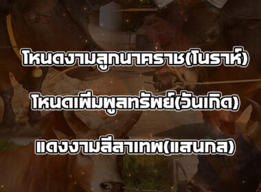 ทีเด็ดวัวชน วันที่09/09/68 สนามชนโคบ้านเขาแก้ว