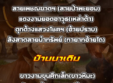 ทีเด็ดวัวชน วันที่02/09/68 สนามชนโคบ้านหยีใน