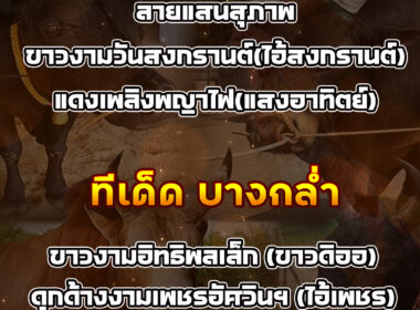 ทีเด็ดวัวชน วันที่20/09/68 สนามชนโคบ้านนาทราย-บางกล่ำ