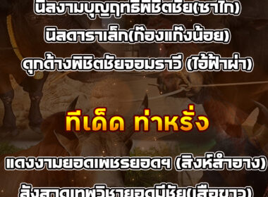 ทีเด็ดวัวชน วันที่21/09/68 สนามชนโคท่าหรั่ง-ท่าศาลา