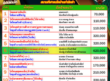 โปรแกรมวัวชน วันที่22/10/68 สนามชนโคบ้านท่ามิหรำ