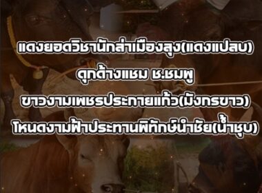 ทีเด็ดวัวชน วันที่03/10/68 สนามชนโคบ้านหยีใน