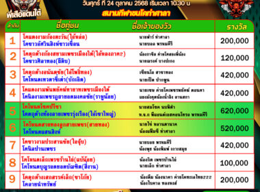 โปรแกรมวัวชน วันที่24/10/68 สนามชนโคท่าศาลา