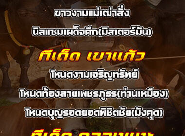 ทีเด็ดวัวชน วันที่05/10/68 สนามชนโคบ้านเขาแก้ว-นครตรัง-คลองแงะ