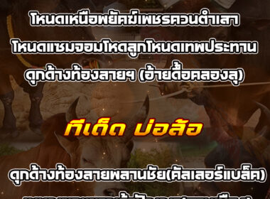 ทีเด็ดวัวชน วันที่08/10/68 สนามชนโคนครตรัง-บ้านบ่อล้อ