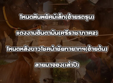 ทีเด็ดวัวชน วันที่1/10/68 สนามชนโคบ้านหยีใน