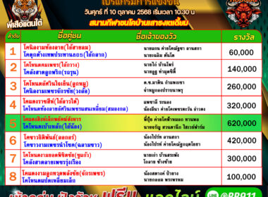 โปรแกรมวัวชน วันที่10/10/68 สนามชนโคบ้านเสาธง