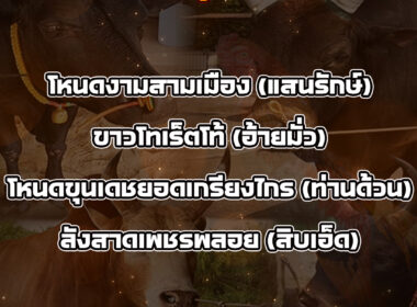 ทีเด็ดวัวชน วันที่06/11/68 สนามชนโคนครตรัง
