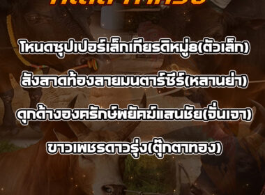 ทีเด็ดวัวชน วันที่16/11/68 สนามชนโคบ้านท่าหรั่ง