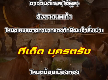 ทีเด็ดวัวชน วันที่09/11/68 สนามชนโคนครตรัง-นาทวี