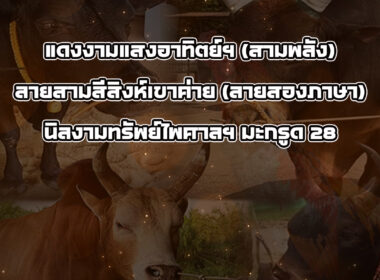 ทีเด็ดวัวชน วันที่24/11/68 สนามชนโคพระแสง
