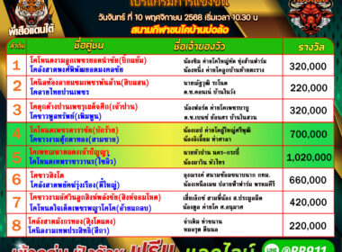 โปรแกรมวัวชน วันที่10/11/68 สนามชนโคบ้านบ่อล้อ