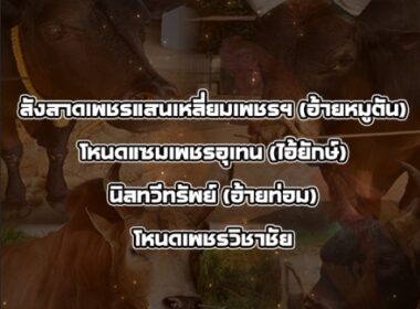 ทีเด็ดวัวชน วันที่8/12/68 สนามชนโคนครตรัง