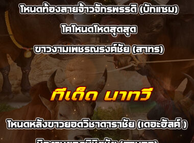 ทีเด็ดวัวชน วันที่14/11/68 สนามชนโคเสาธง-นาทวี