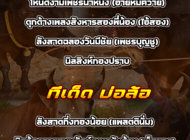 ทีเด็ดวัวชน วันที่11/12/68 สนามชนโคนครตรัง-บ่อล้อ
