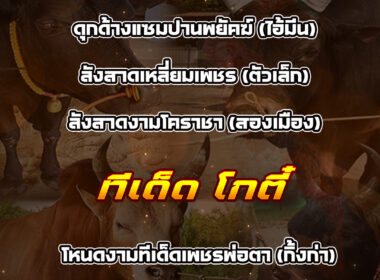 ทีเด็ดวัวชน วันที่19/01/69 สนามชนโคท่าหรั่ง