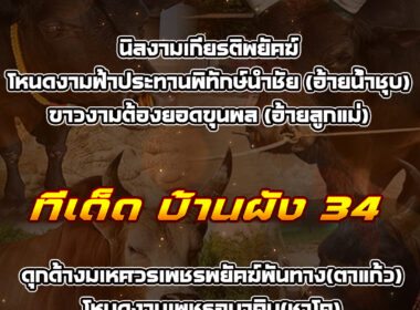 ทีเด็ดวัวชน วันที่04/01/69 สนามชนโคบ้านหยีใน-ผัง34