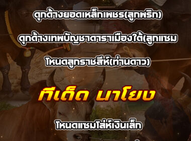 ทีเด็ดวัวชน วันที่21/01/69 สนามชนโคนาโยง-ท่าศาลา