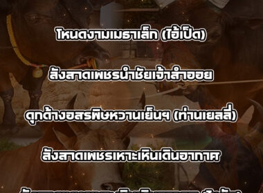ทีเด็ดวัวชน วันที่09/01/69 สนามชนโคนครตรัง