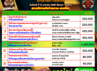 โปรแกรมวัวชน วันที่12/01/69 สนามชนโคเสาธง สเตเดี๊ยม