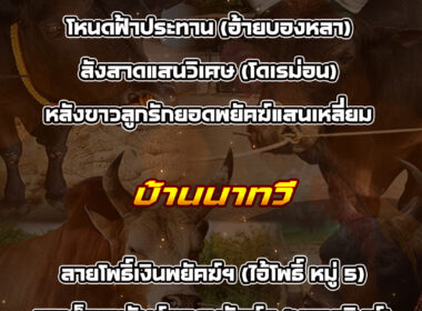 ทีเด็ดวัวชน วันที่04/02/69 สนามชนโคเขาแก้ว-นาทวี