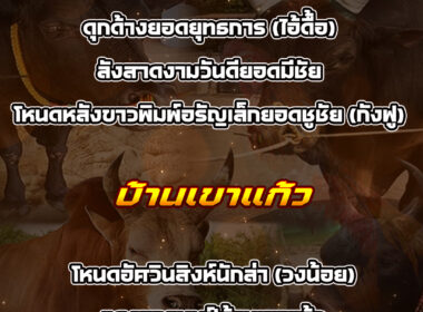 ทีเด็ดวัวชน วันที่03/02/69 สนามชนโคเขาแก้ว-หยีใน