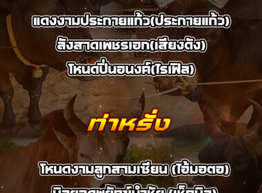 ทีเด็ดวัวชน วันที่15/02/69 สนามชนโคนาเดิม-ท่าหรั่ง