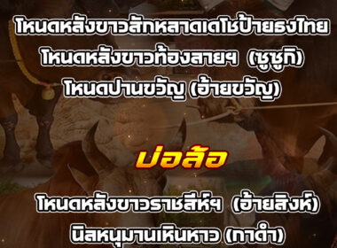 ทีเด็ดวัวชน วันที่12/02/69 สนามชนโคบ่อล้อ-นครตรัง